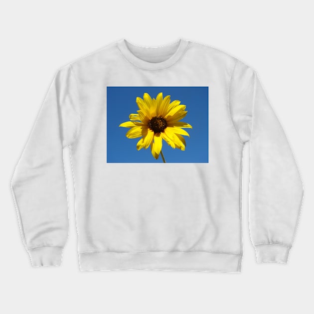 Sunflower Crewneck Sweatshirt by Chris Petty